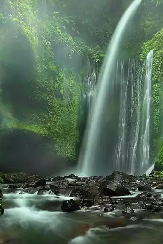 小猫钓鱼游戏龙王版有船
