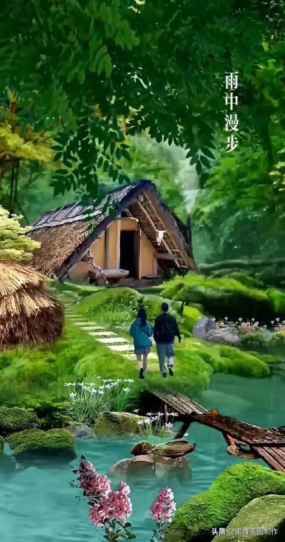 小熊救援