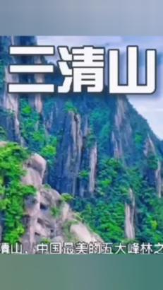 全国工商联美容化妆品商会党支部书记蔡永忠考察南阳艾草产业