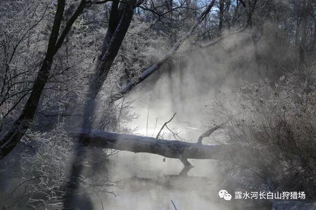 小艾比当海军