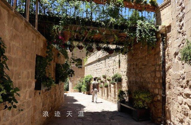 植物真的可以去甲醛吗？游戏画面