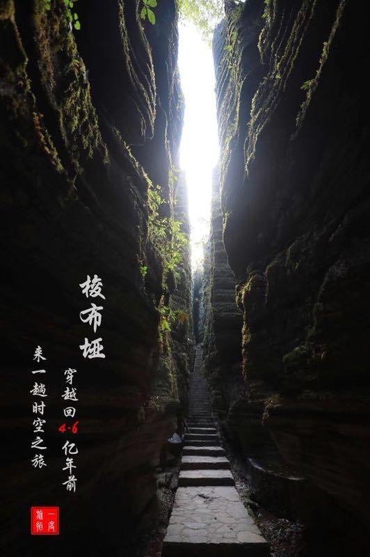 咱百科——“驯鹤女孩”徐秀娟守护丹顶鹤的一生