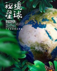 小猫钓鱼游戏龙王版有船