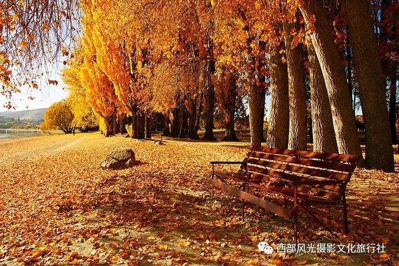 农业银行商丘分行深入做好普惠金融大文章—普惠金融考核跃居全省农行第一位