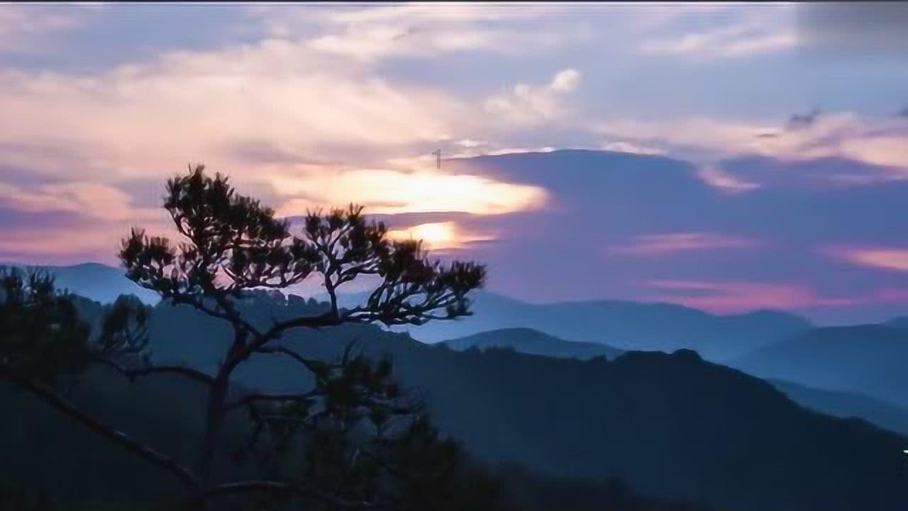 沪江开心词场