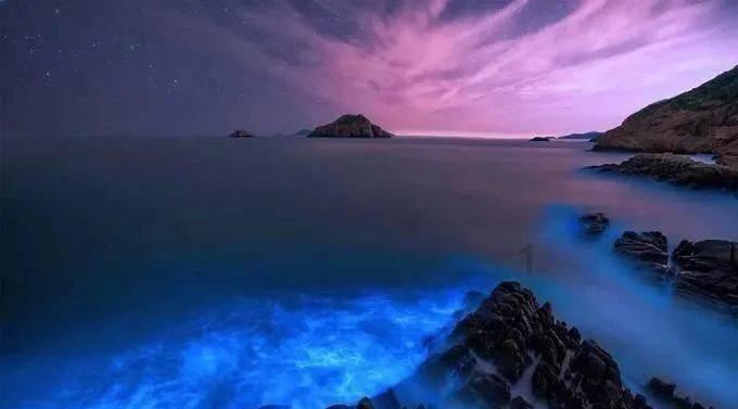 探索知识星球平台,解锁