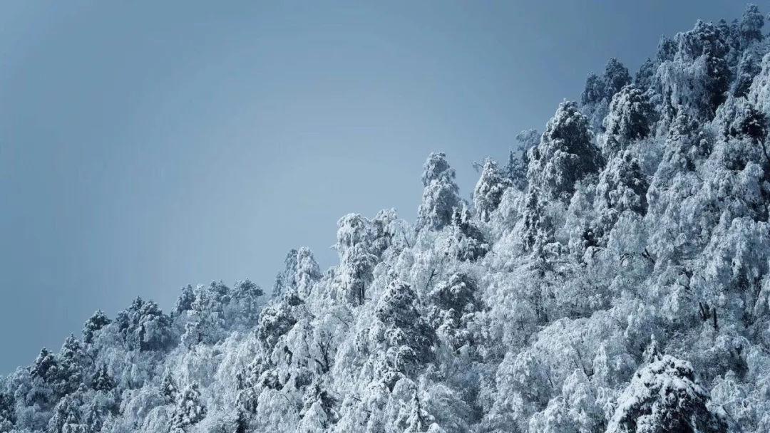北方的冬天可能是iPhone的噩梦吧?电池老遭罪了