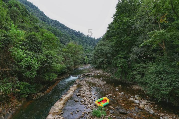 深圳“超充站”数量今年有望超加油站