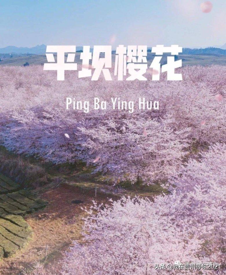 云南省举办沿边产业园招商签约大会