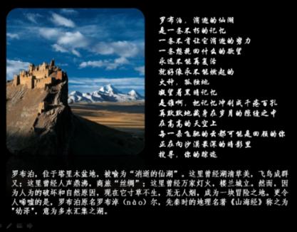 政策发力，A股迎久违大涨 未来基本面复苏仍是关键