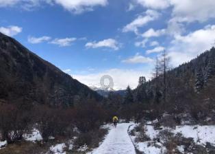 召唤神龙万宁版祖龙