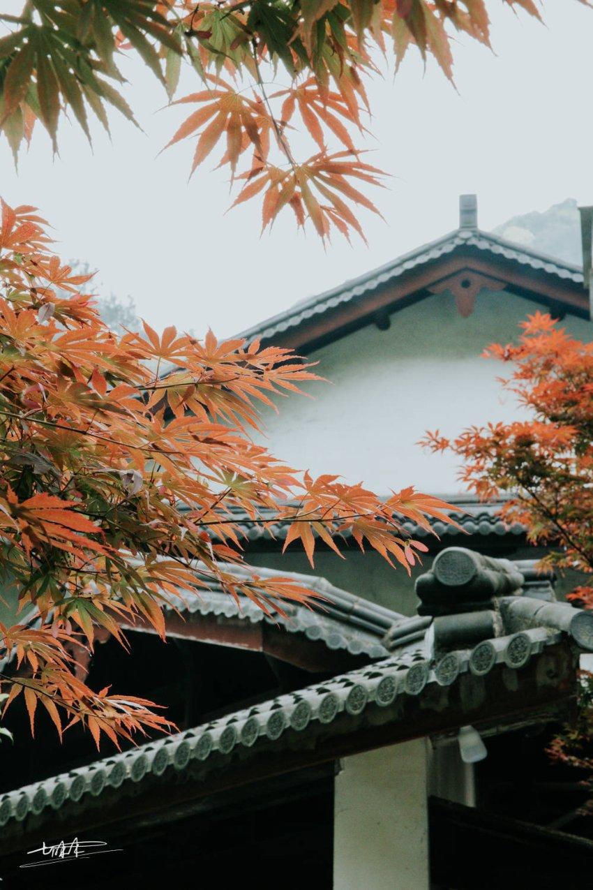 逃离撒丁岛