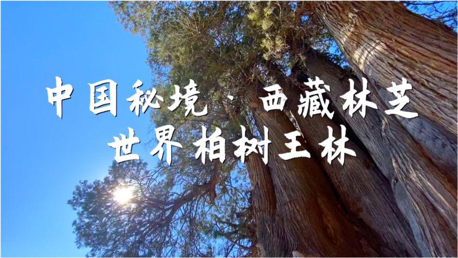 悬崖小屋逃生