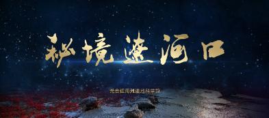 月光影视