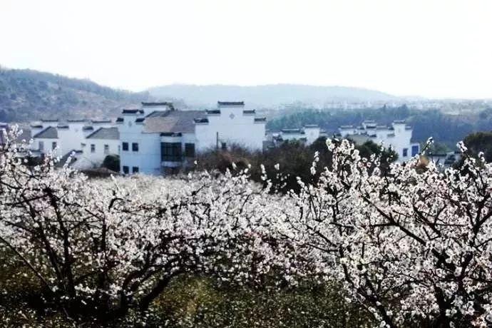 拯救者