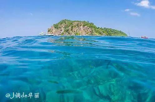 感受语言艺术和天津文化魅力