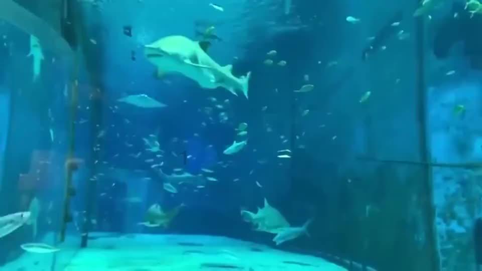 武林立志传