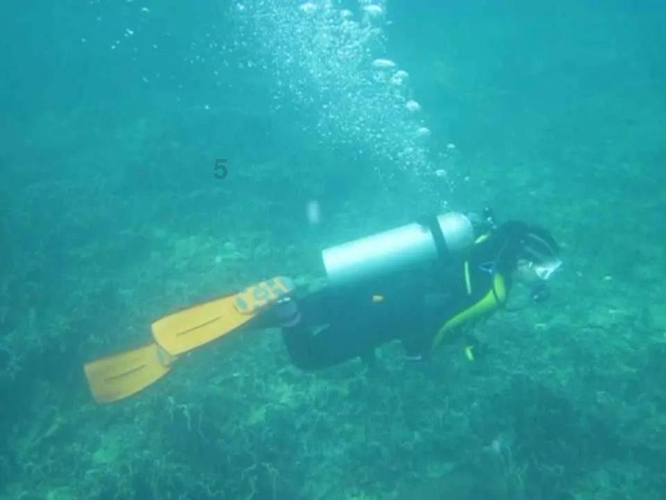 重生之玫瑰豪门