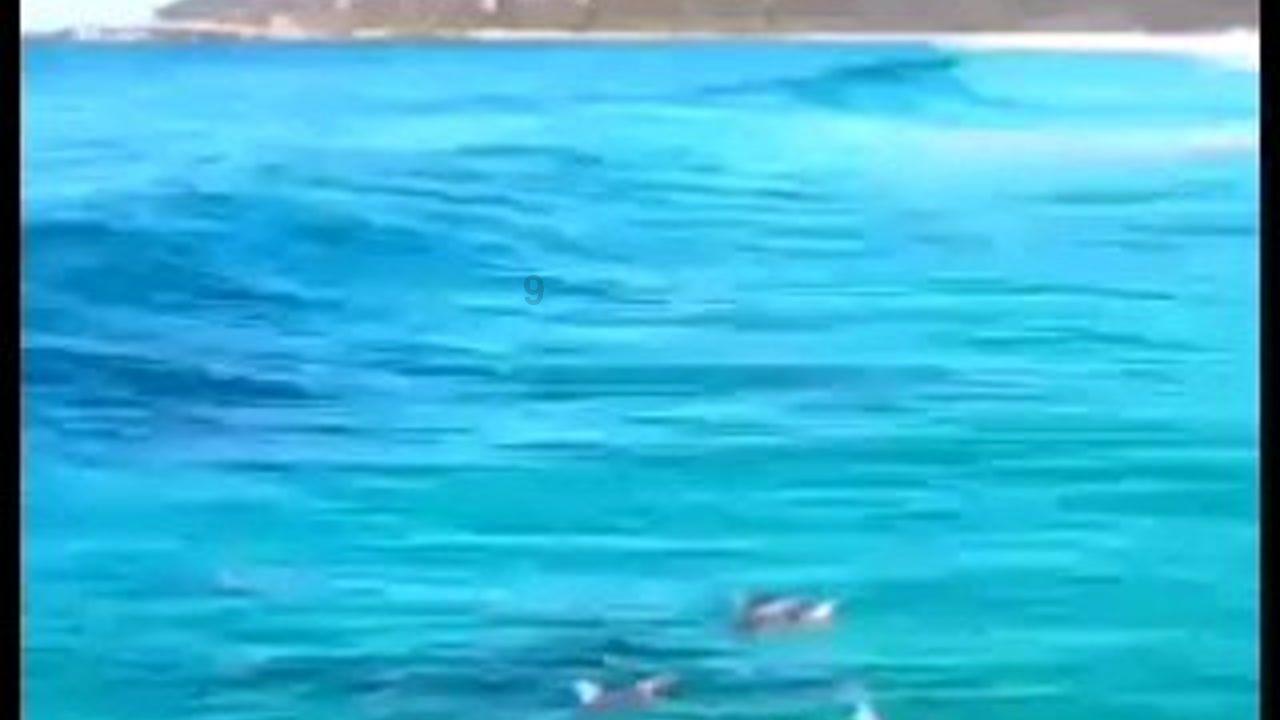 逃离神秘之屋