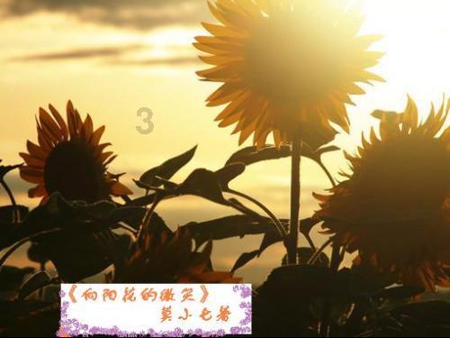 探索知识的乐园-莲花山的独特之处是什么?