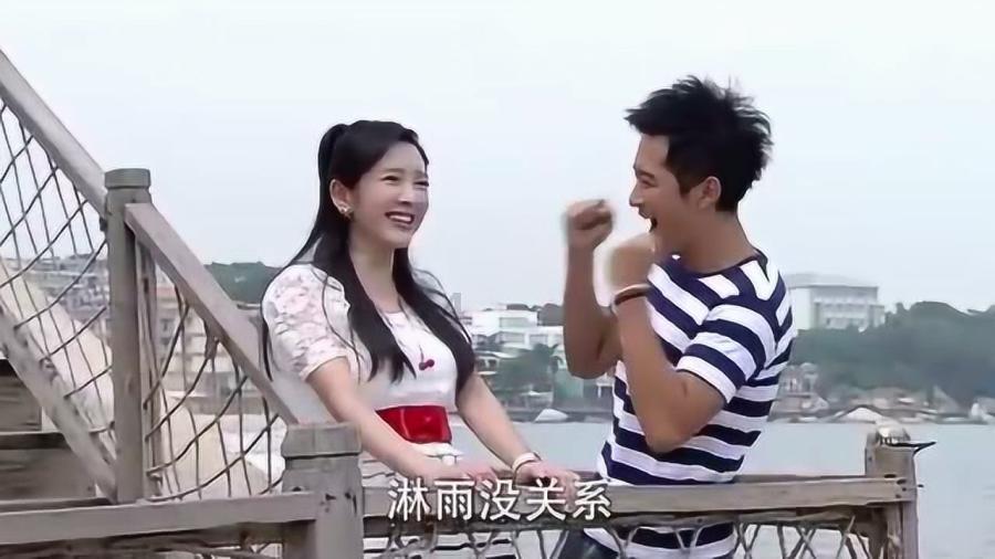 动物帮帮忙保卫家园
