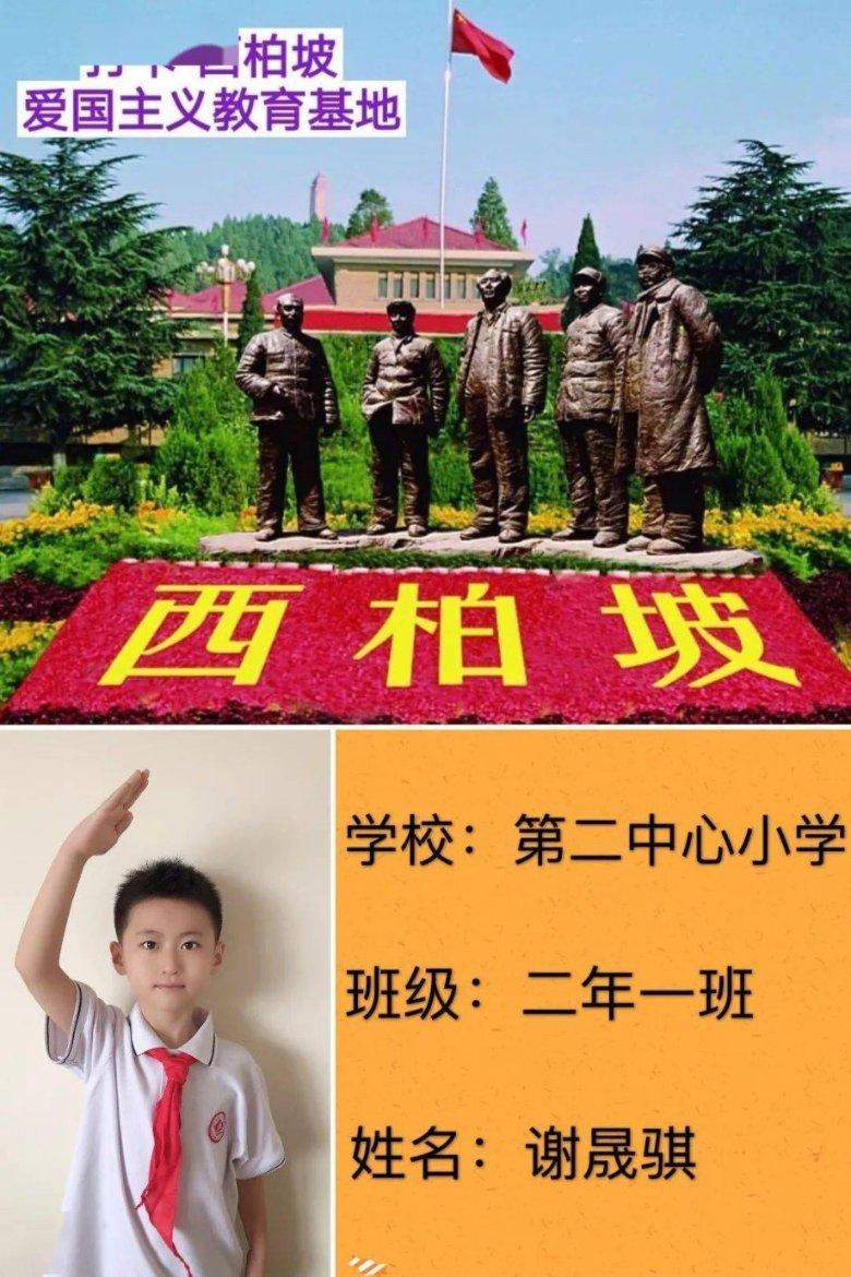 淅川县龙城街道卫生院接受中医药服务示范村所建设考核