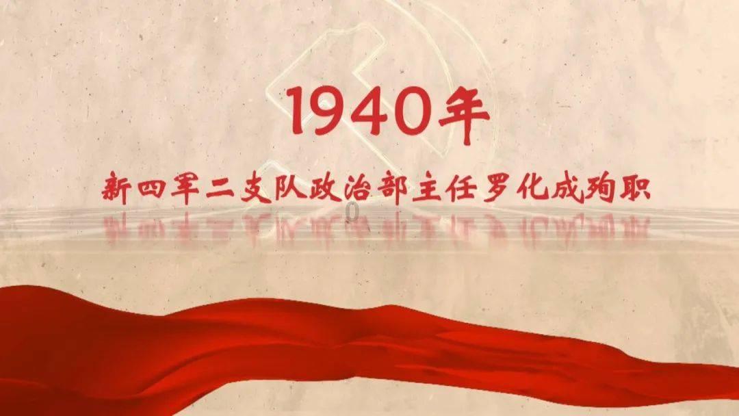 创作猫