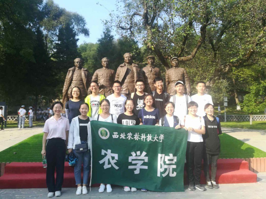 史提芬填色书