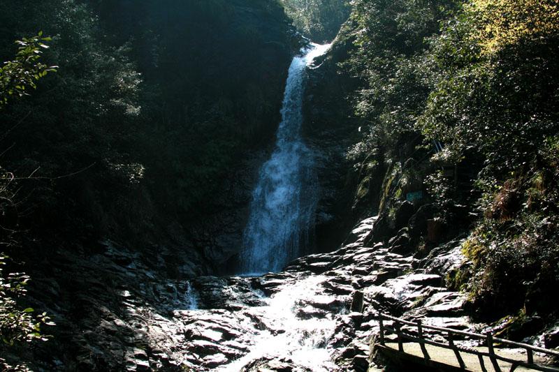 恐龙绝地逃生