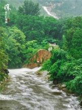 泡脚水里加点“它”,不仅驱寒除湿,防感冒,还能杀菌止痒除脚气