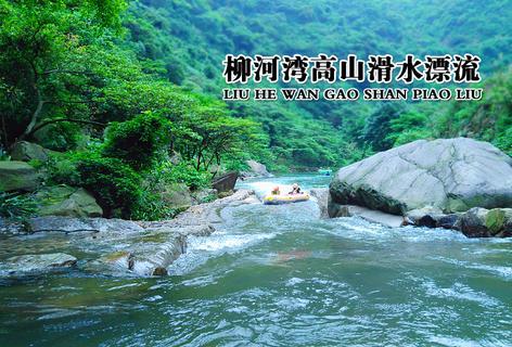 探索4级英语考试时间,了解不一样的知识星球