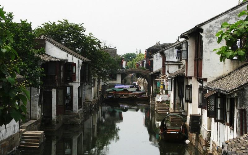 AI赋能传统中医,以青年力量弘扬中医文化