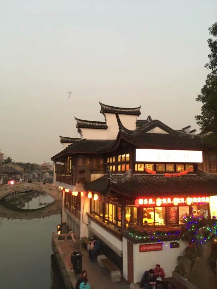 怎么判断猫得了膀胱炎