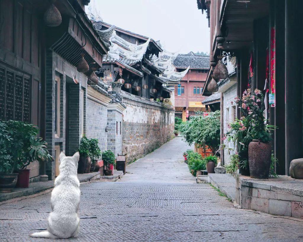 僵尸女友送月饼啦