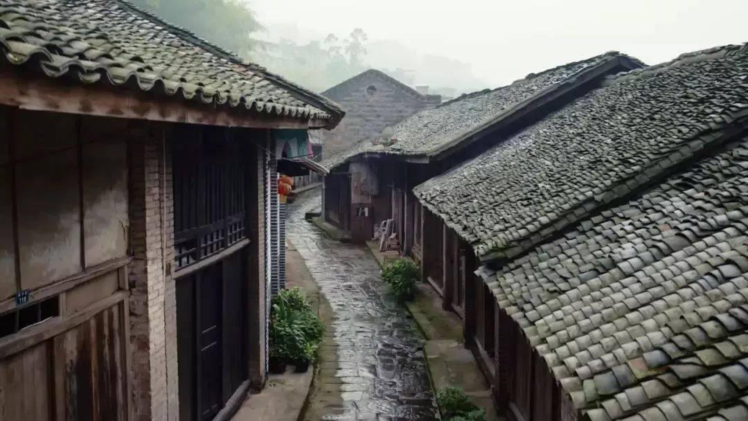 “五谷杂粮下江南” 叫响明水品牌知名度