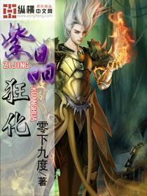 空中大战斗